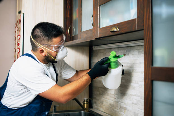 Best Mosquito Control Services  in Colleyville, TX