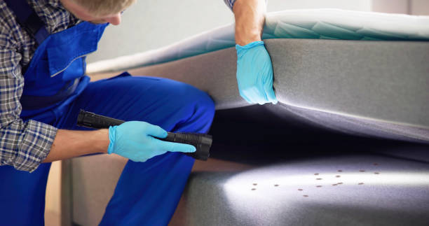 Best Wildlife Control Services  in Colleyville, TX